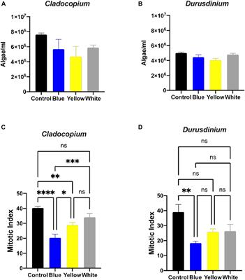 The Endosymbiotic Coral Algae Symbiodiniaceae Are Sensitive to a Sensory Pollutant: Artificial Light at Night, ALAN